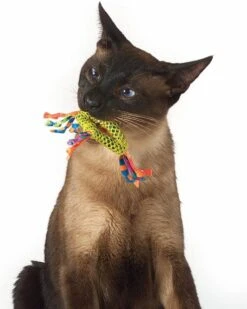 Petstages Dental Health Chew Kattenspeelgoed - Catnip -Kattenbenodigdheden 960x1200 7