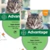 Bayer Advantage 40 Kat 4 Pip - Anti Vlooienmiddel - 2 X 0.4 Ml - 0 - 4 Kg 1 Bayer Advantage 40 Kat 4 Pip - Anti Vlooienmiddel - 2 X 0.4 Ml - 0 - 4 Kg -Kattenbenodigdheden 965x1200
