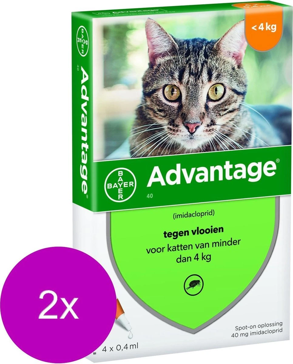 Bayer Advantage 40 Kat 4 Pip - Anti Vlooienmiddel - 2 X 0.4 Ml - 0 - 4 Kg 4 Bayer Advantage 40 Kat 4 Pip - Anti Vlooienmiddel - 2 X 0.4 Ml - 0 - 4 Kg - Afbeelding 2