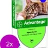 Bayer Advantage 80 Kat 4 Pip - Anti Vlooienmiddel - 2 X 0.8 Ml - > 4 Kg -Kattenbenodigdheden 968x1200