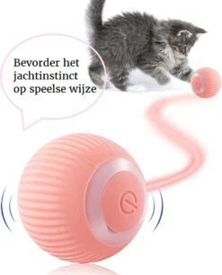 Otiume Slimme Katten Speeltje - Interactieve Zelf Rollende Bal Voor Katten - Kattenspeeltjes - USB Oplaadbaar- Turquoise -Kattenbenodigdheden 968x1200 2