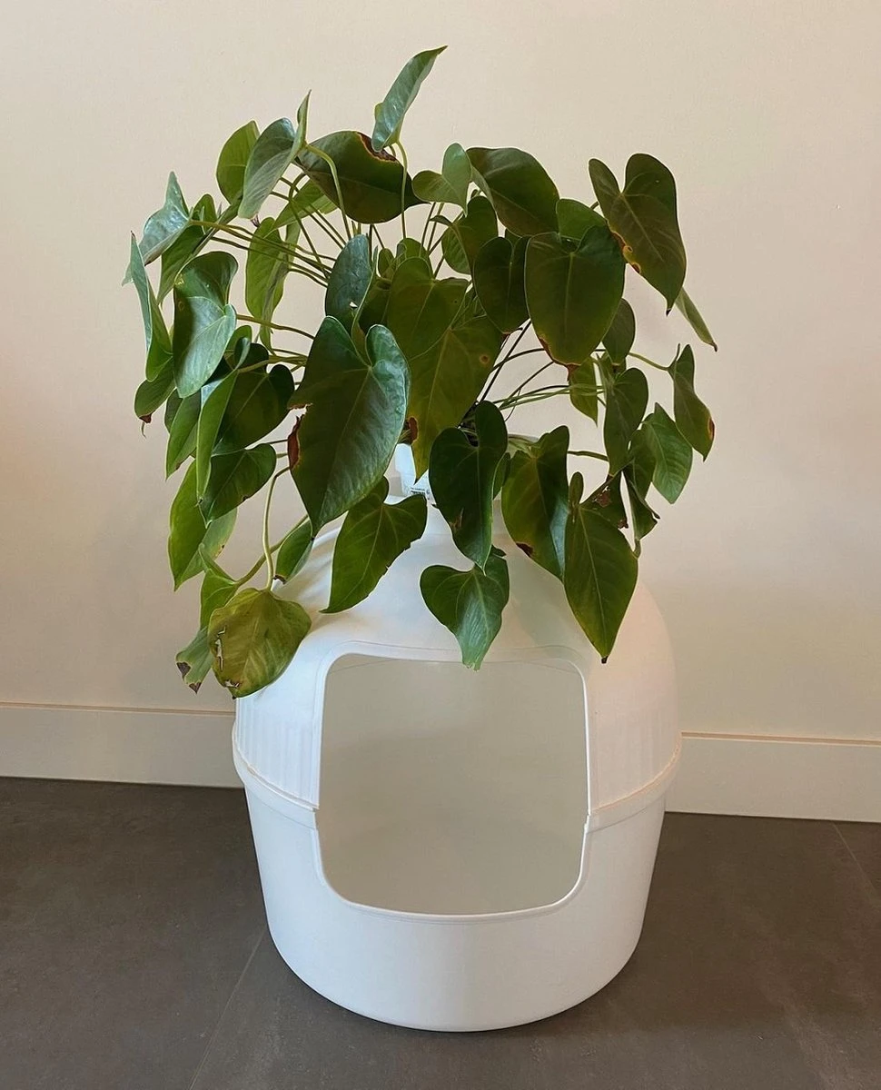 XXL Kattenbak – Verborgen Kattentoilet – Flower XXL Wit Voor Grote Katten Van RHRQuality 9 XXL Kattenbak – Verborgen Kattentoilet – Flower XXL Wit Voor Grote Katten Van RHRQuality - Afbeelding 7