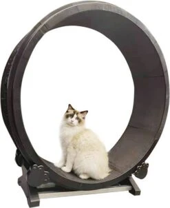 Merkloos Petlux - Looprad / Loopwiel Voor Kat - Kattenspeelgoed - -Kattenbenodigdheden 982x1200 3