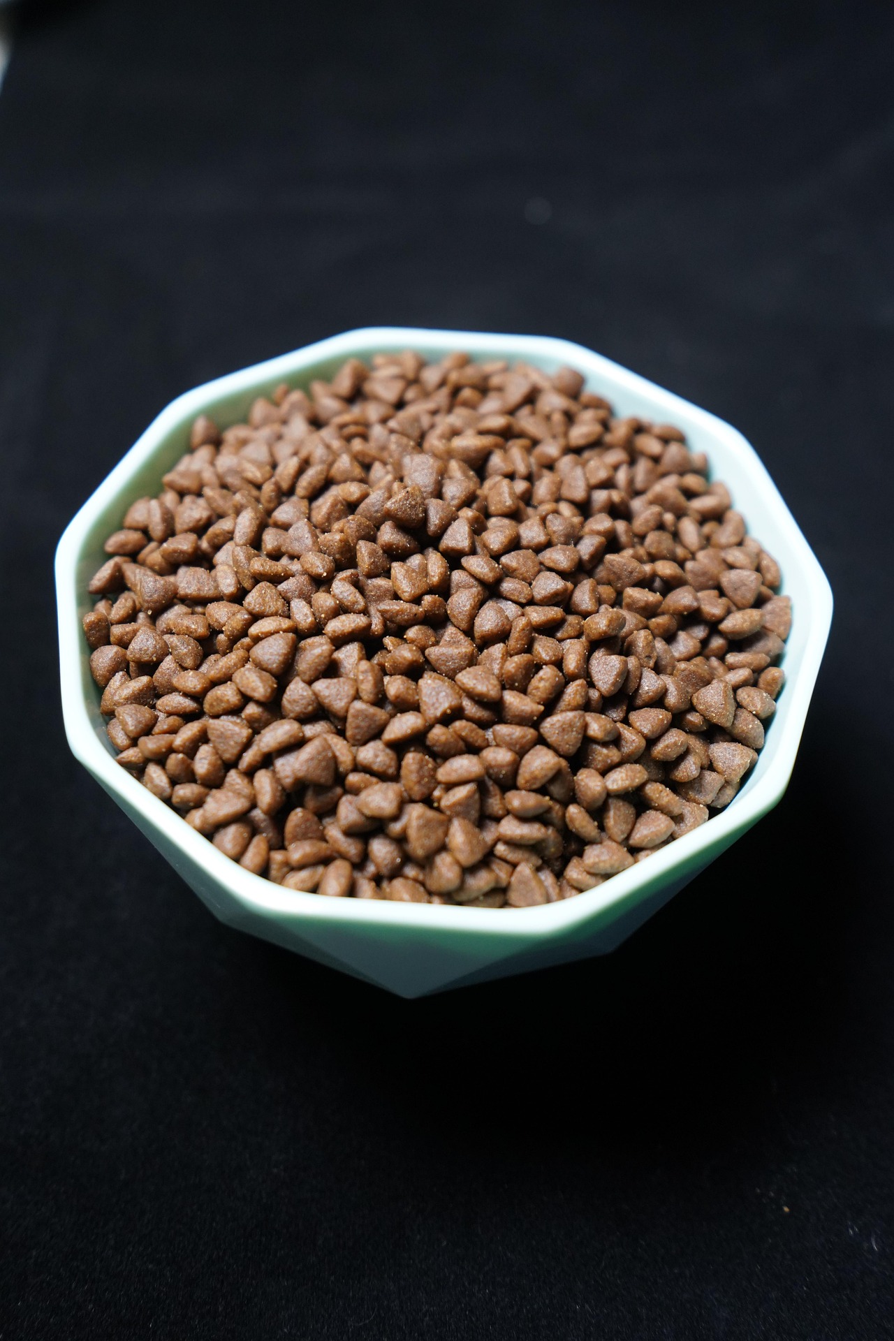 Voorkant -Kattenbenodigdheden cat food 6537763 1920